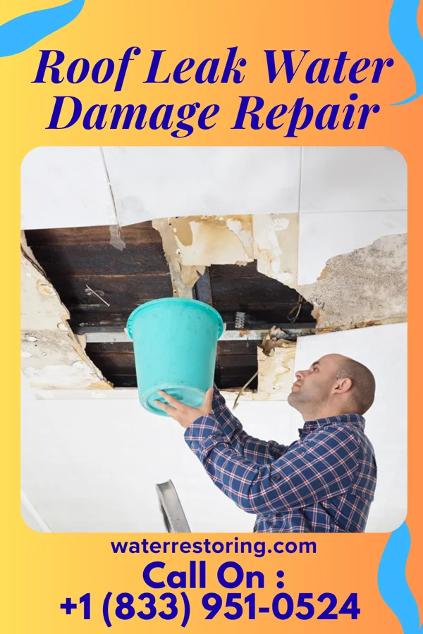 Roof Leak Water Damage Repair in London Mills, IL